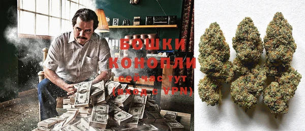 spice Аркадак