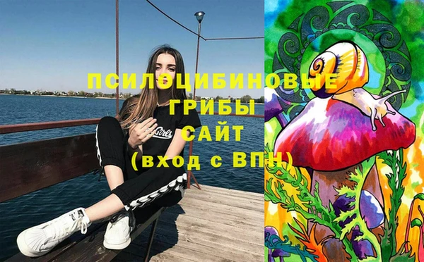 винт Арсеньев