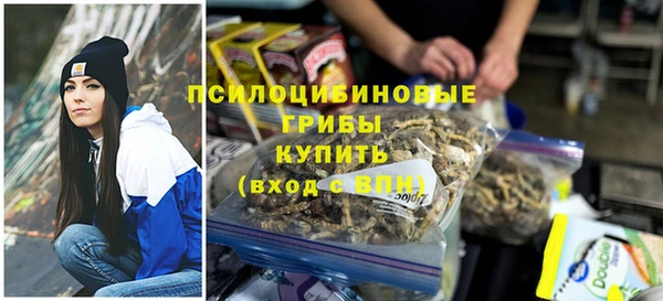 винт Арсеньев