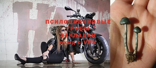 винт Арсеньев